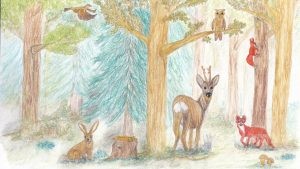 Buntstift-Illustration Wald mit Hase, Reh, Fuchs, Eichhörnchen, Eule, Vogel.