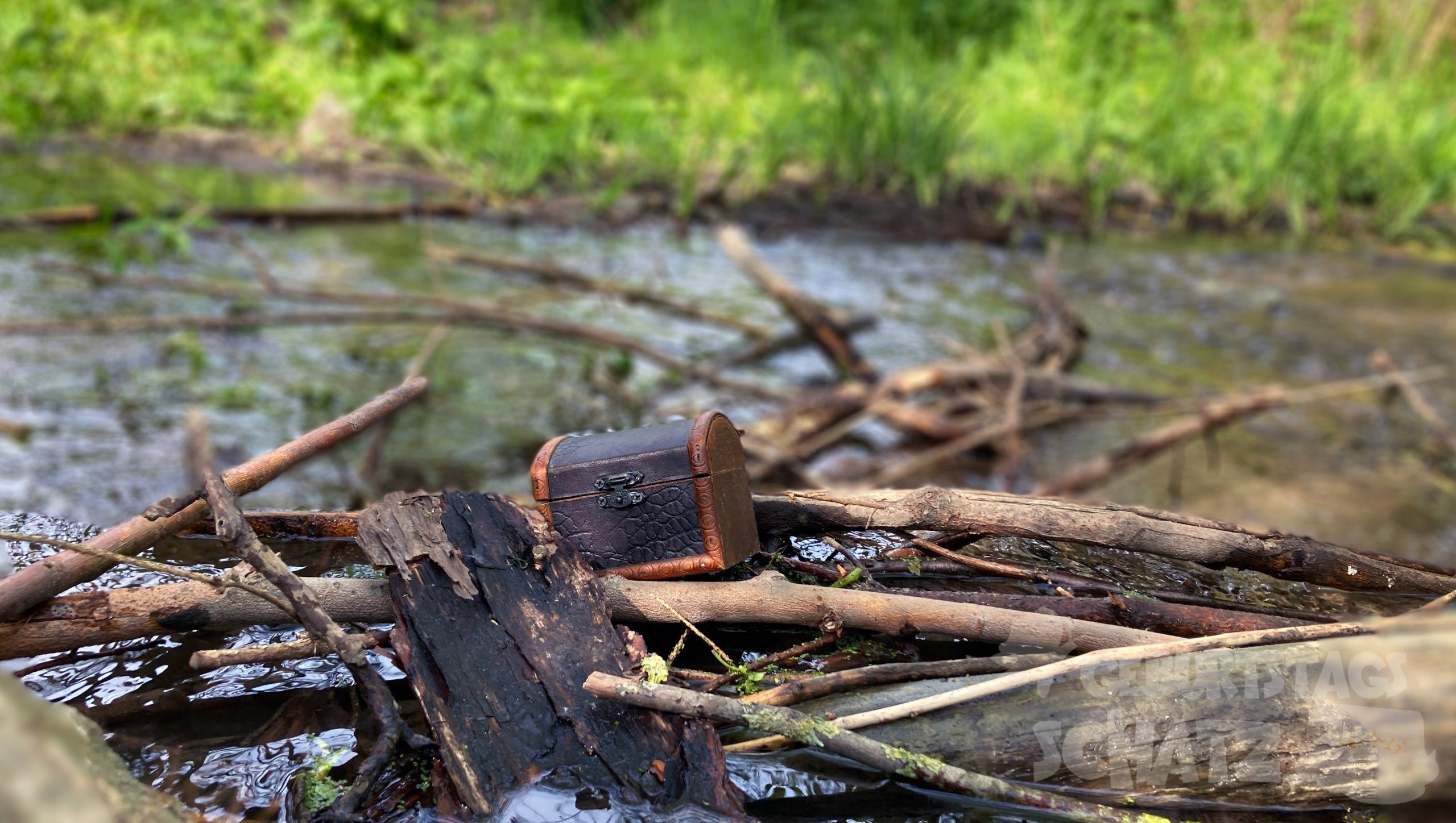 Eine kleine Schatztruhe aus Holz hat sich in Ästen in einem Bach verfangen. Sie ist geschlossen. Im Hintergrund wächst Gras am Ufer.